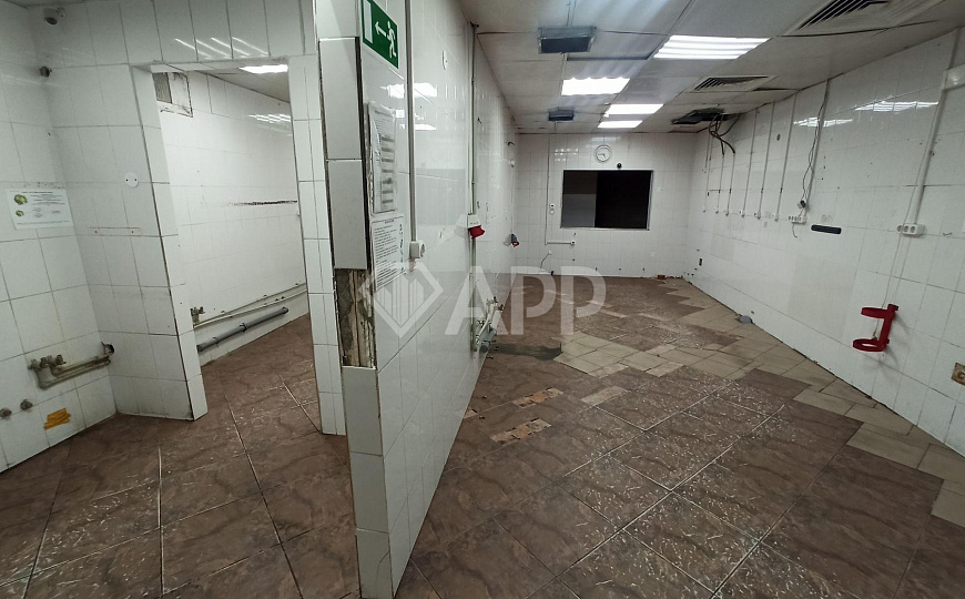 Сдаю помещение в центре Красной, 333 м² фото