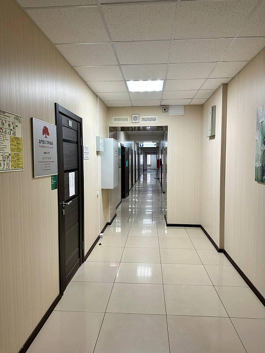 Аренда офиса 36,6 м2 в БЦ на ул.Мичурина фото