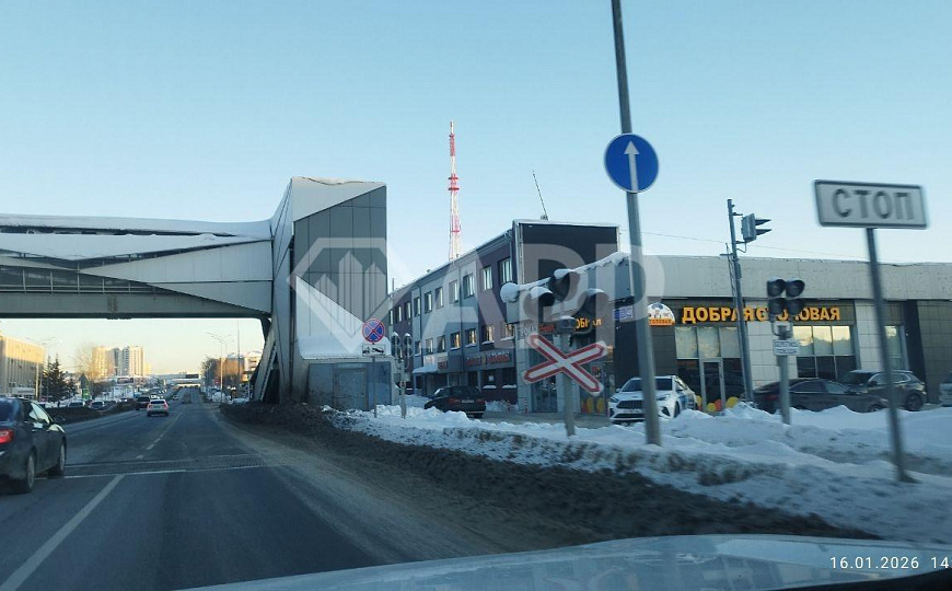 Первая линия Горьковское шоссе  фото