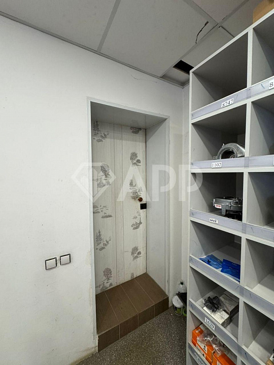 Первая линия Горьковское шоссе  фото