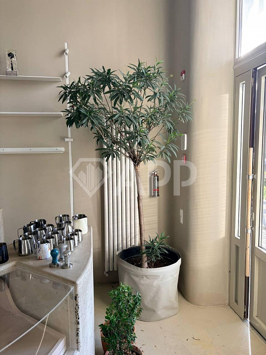 Сдаю торговое помещение, 66,3 м² фото