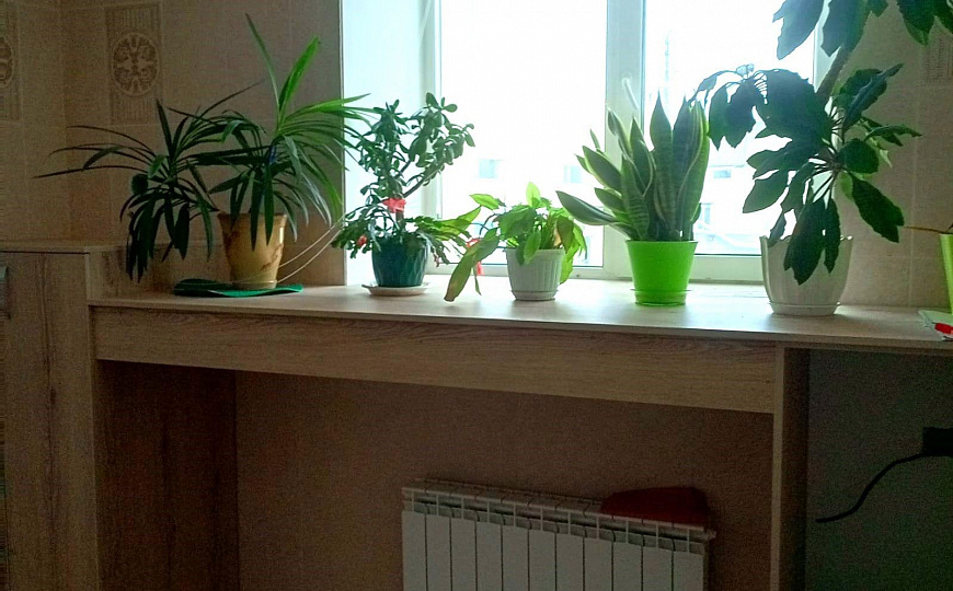 Сдам офисное помещение, 150 м² фото