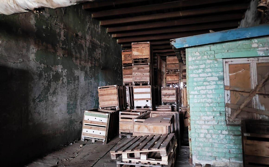 ОВОЩЕХРАНИЛИЩЕ, 750 м² фото