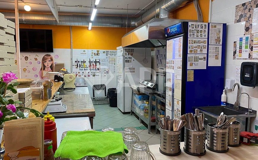 ПСН, 150м2 в ОСЗ фото