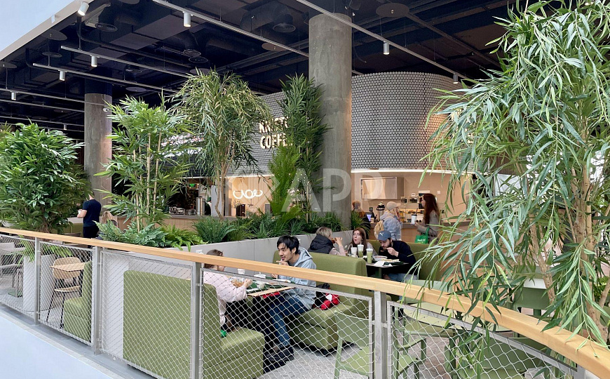 ТРЦ "Ботаника", корнеры от 16,5м2 на фуд-молле  фото