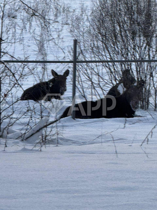 Земля 2 Га + банный комплекс. Готовый бизнес фото
