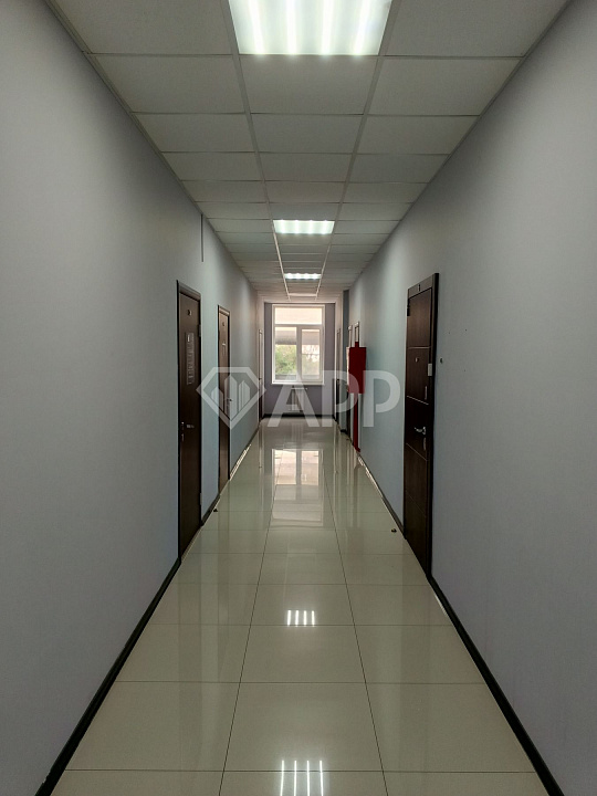 Сдаю офисное помещение, 46 м² фото