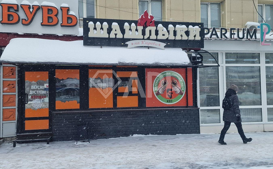 Торговля/услуги/общепит/Кирова/от 8-24 м2 фото