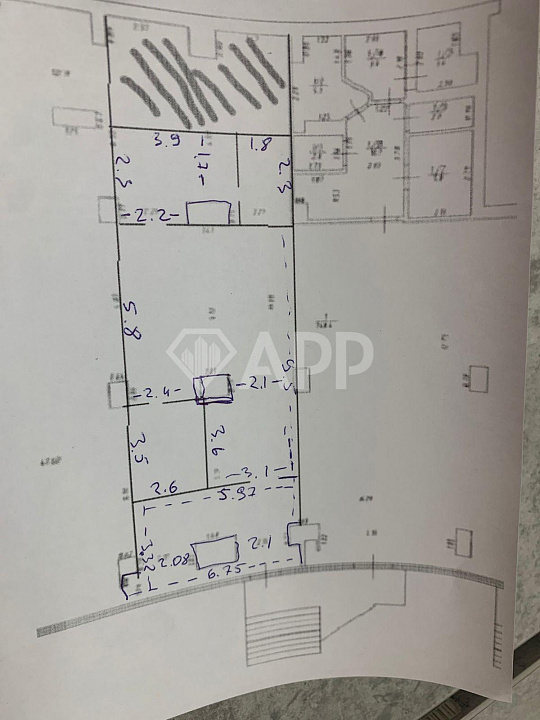 1 линия фото