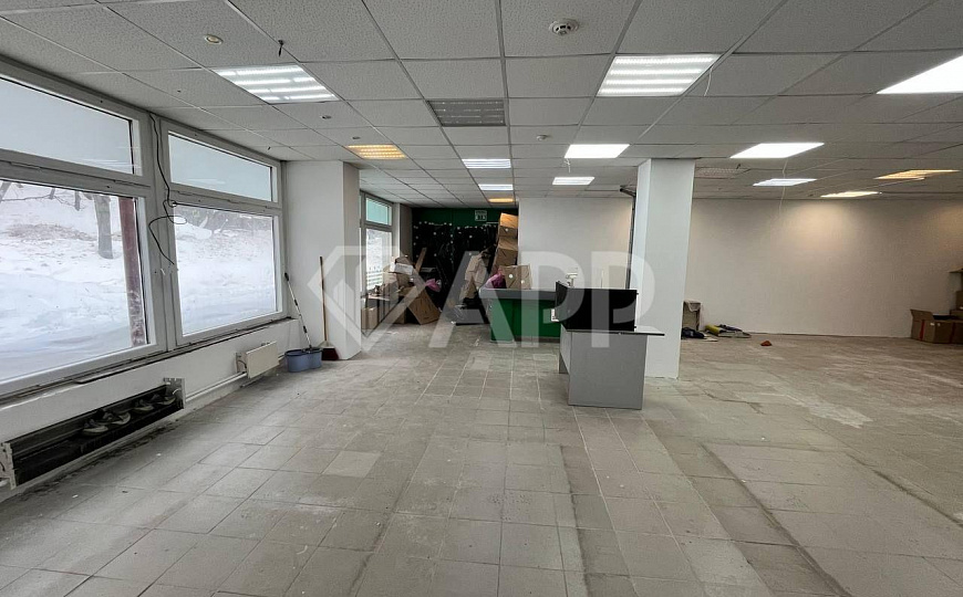 ПСН 160 м² фото