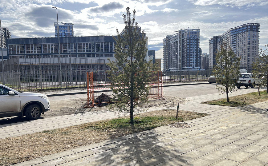 Сдаю 1 этаж 1 линии в ЖК "Догма Парк" с ремонтом 80,2 м²  фото
