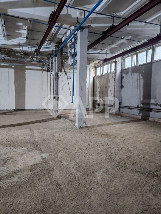 Торговая площадь 1000 кв.м фото