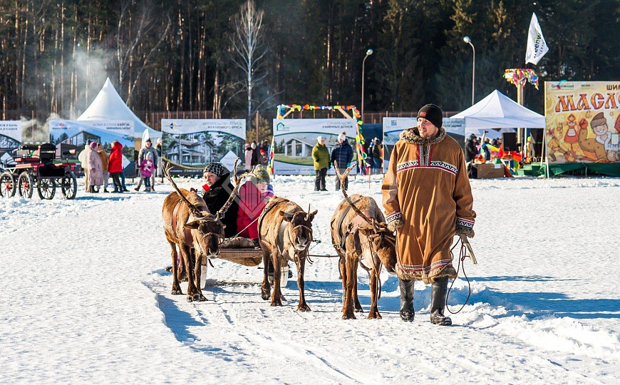 Посёлки Green Forest , спешите, еще есть свободные участки от 8 соток  ИЖС! фото