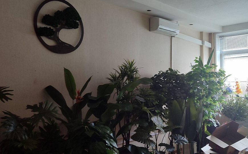 Помещение свободного назначения фото