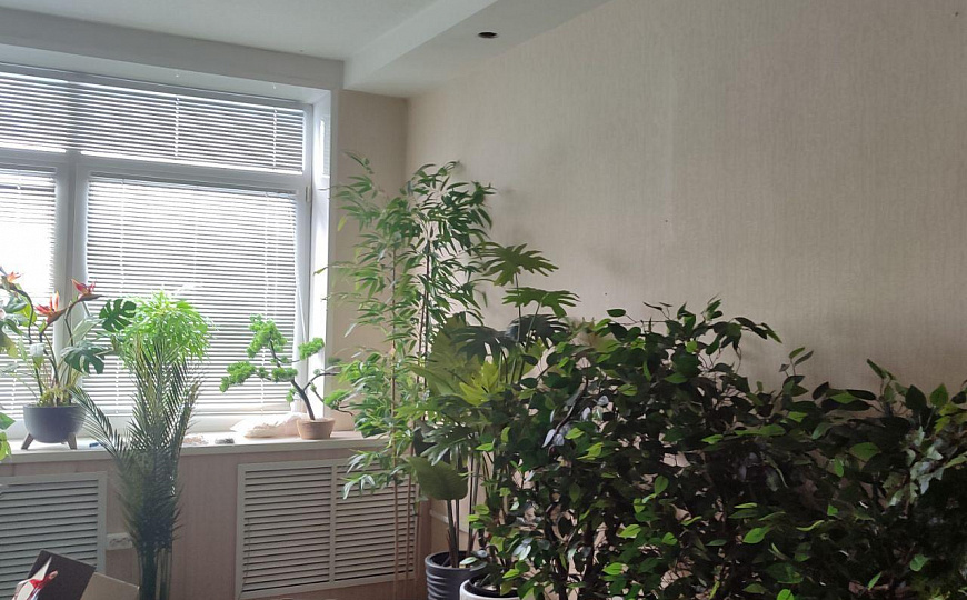 Помещение свободного назначения фото