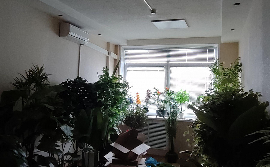 Помещение свободного назначения фото