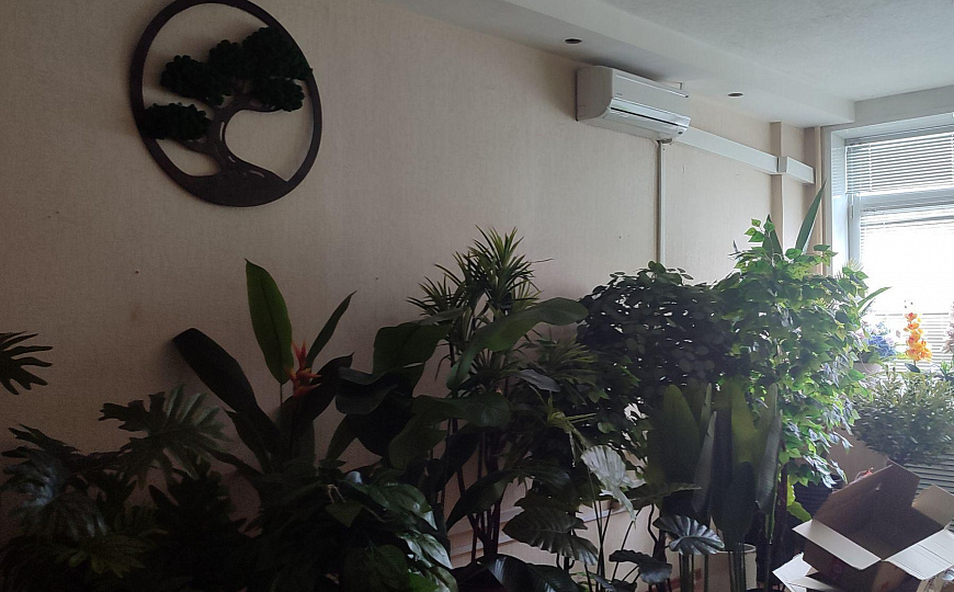 Помещение свободного назначения фото