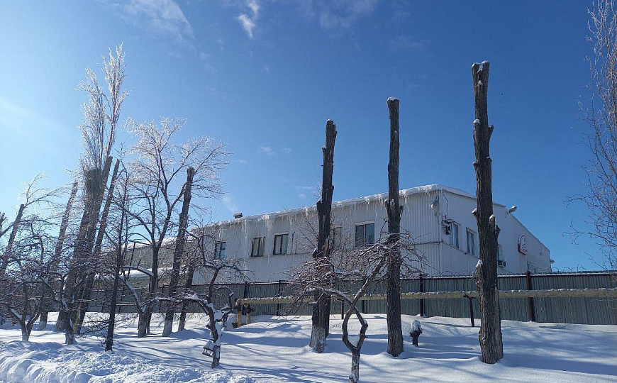 Свободного назначения фото