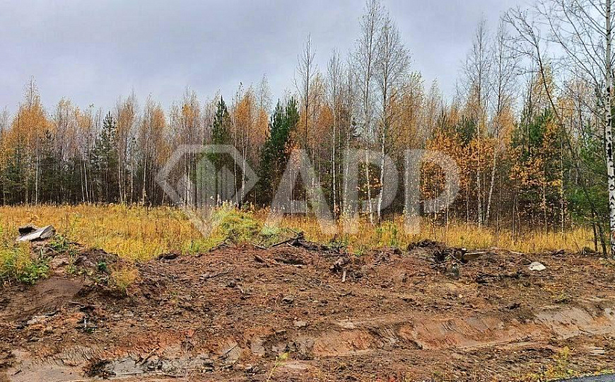 Земля промназначения фото