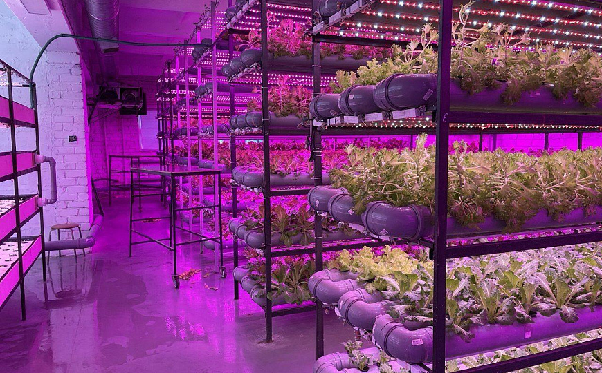 Продажа производственного здания с земельным участком фото