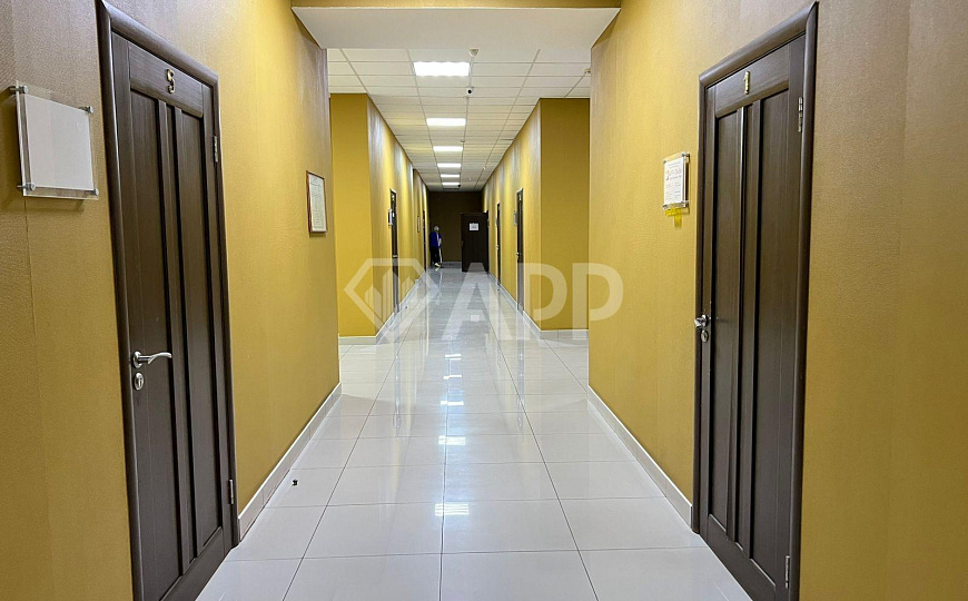 Сдаю офисное помещение, 62 м² фото