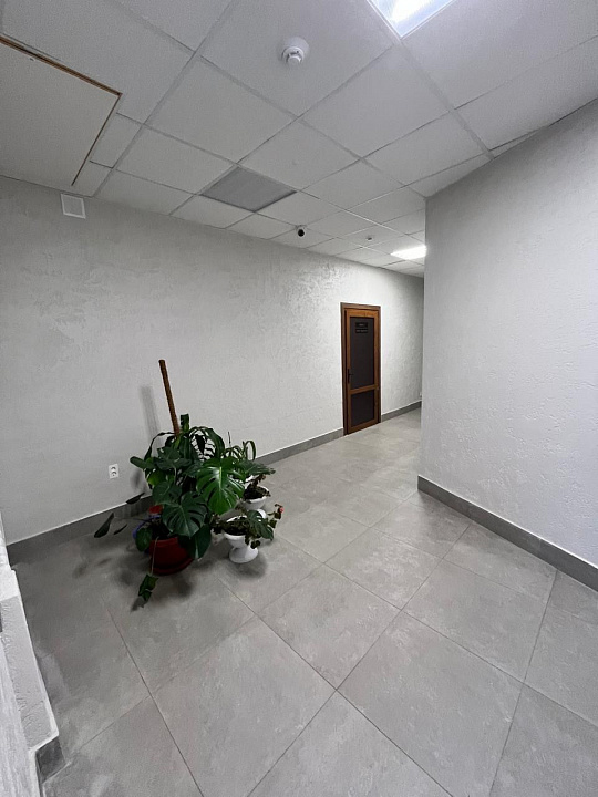 Сдам офисное помещение, 26 м² фото