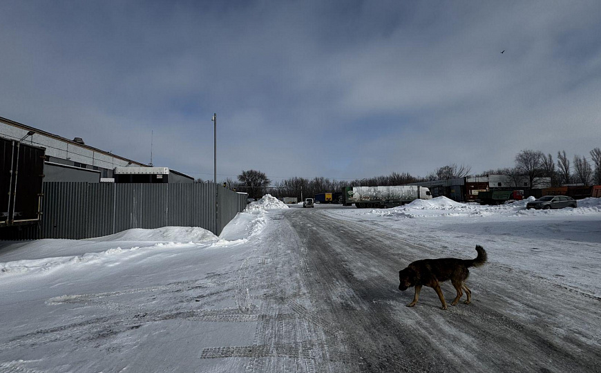 Производственное помещение 1000 кв. м. фото