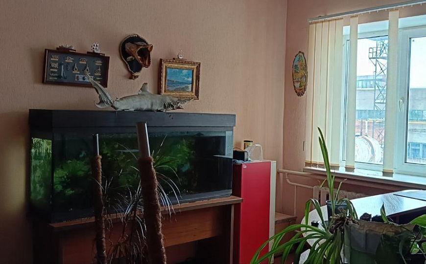 Продажа офиса фото