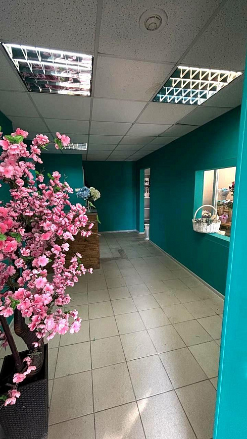 Свободного назначения, 30,8м2 фото