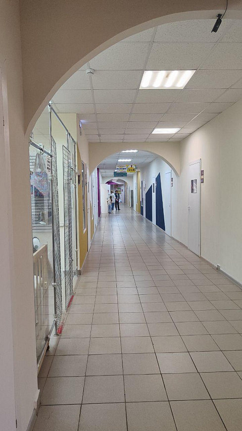 Сдается офис 15 м² фото