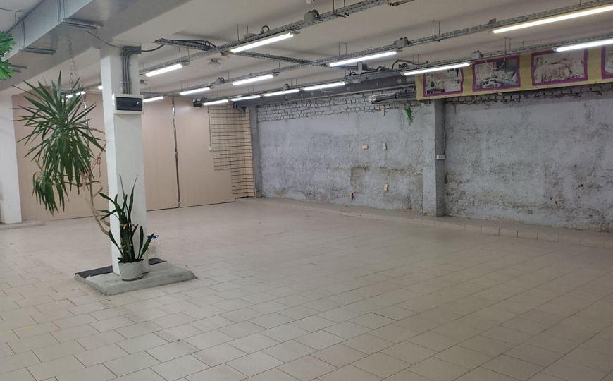 Сдам торговое помещение 300 м² в цоколе. Балашиха, ул. Спортивная фото