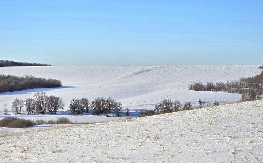 Производственный комплекс ПАСЕЧНАЯ УСАДЬБА, 7301 м2 фото
