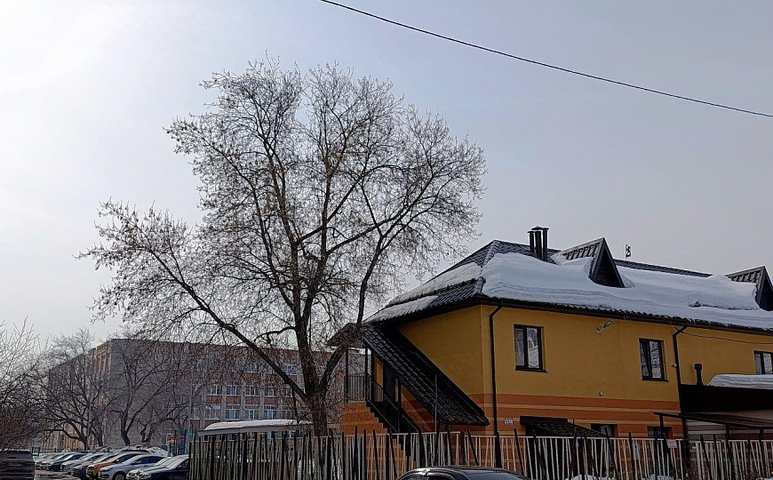 Отдельно стоящее здание 224 м² фото