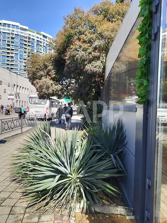 Сдам помещение общественного питания, 140 м² фото