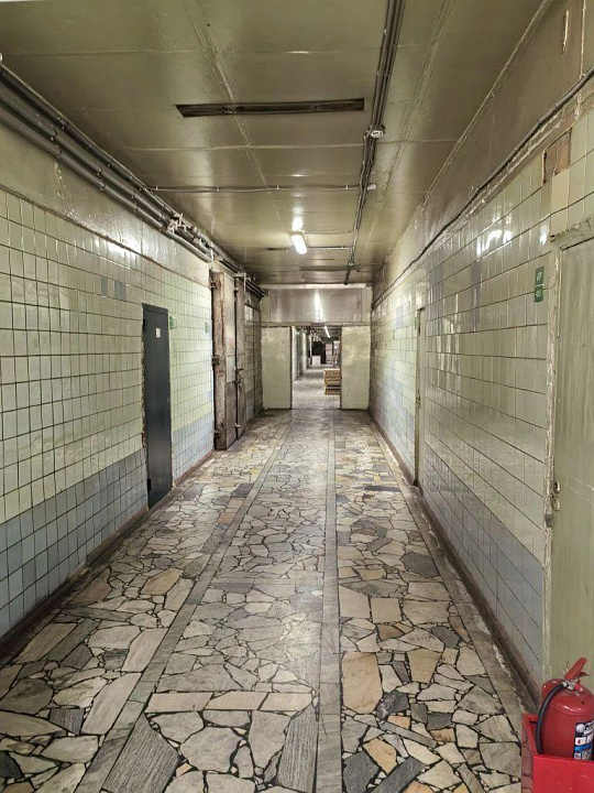 Сдам офисное помещение, 39 м² фото