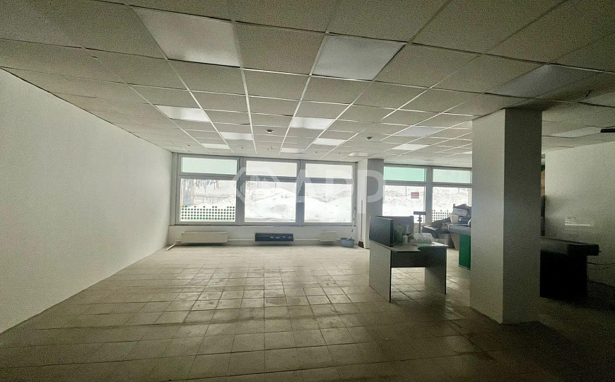 ПСН 160 м² фото