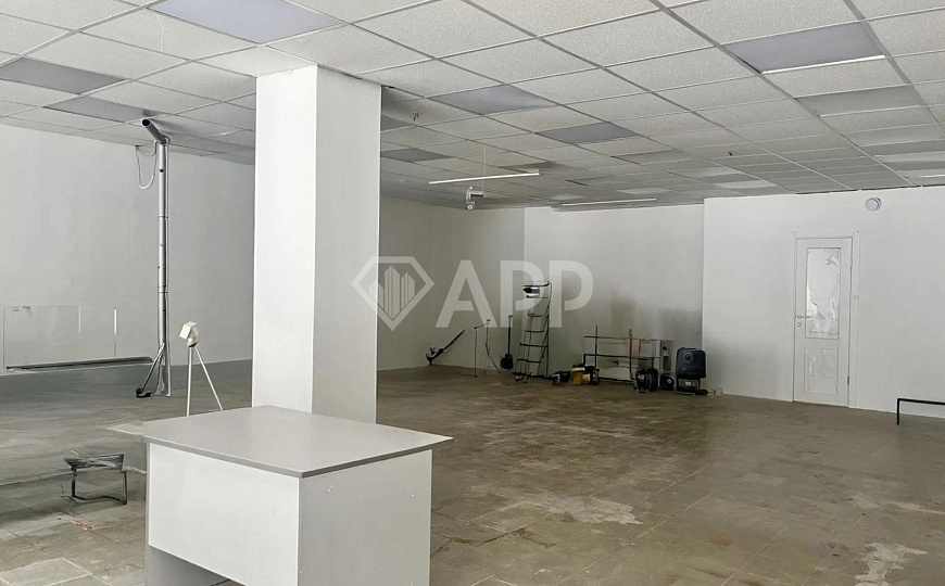 ПСН 160 м² фото