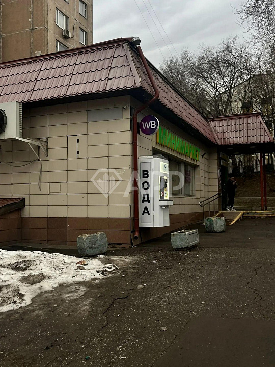 ПСН 160 м² фото