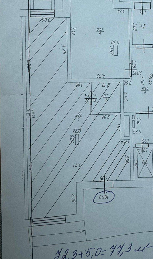 Торговая площадь 77,3м² на высоком трафике фото