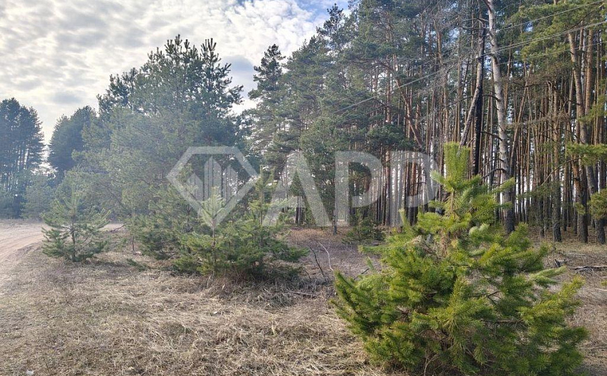 Продам гостиница, 113 м² фото