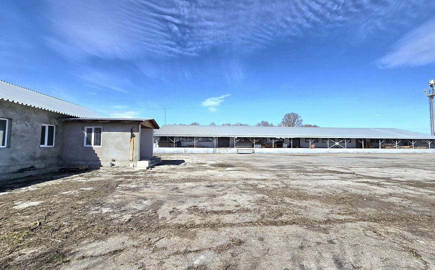 Сдам земельный участок, 700 м² фото