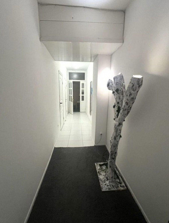 Сдам офисное помещение, 216 м² фото