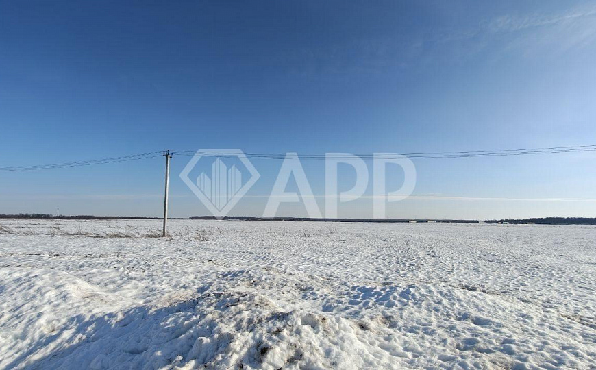 Участок 4Га на М12 фото