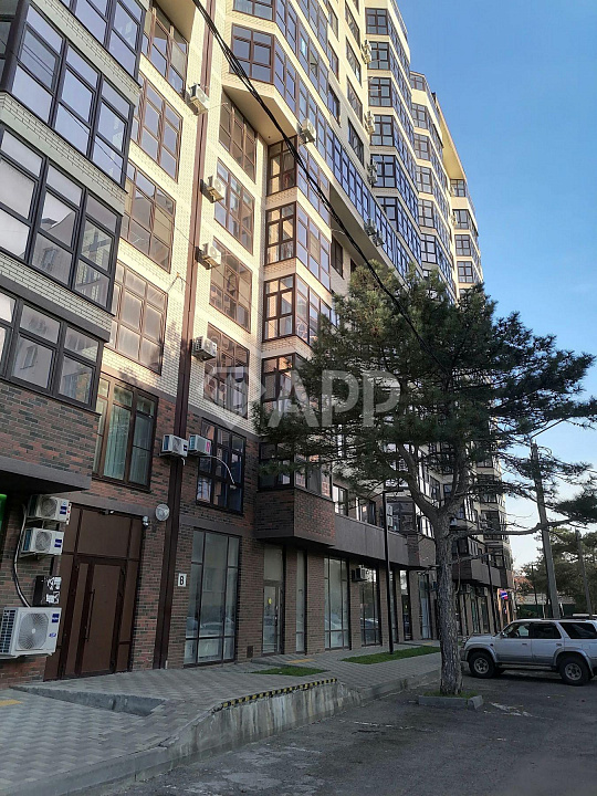 Сдаю с ремонтом 59 м² магазин общепит аптека офис фото