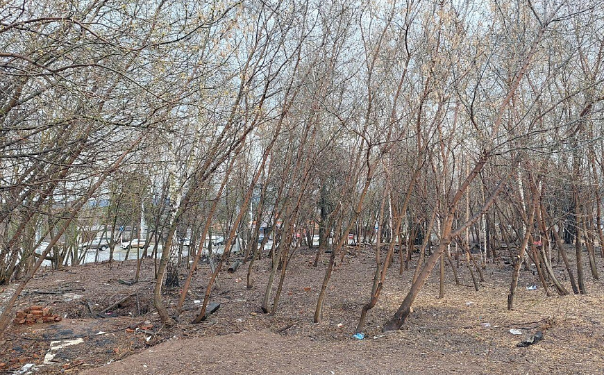 Земельные участки в черте города фото