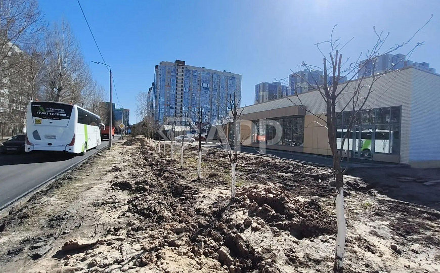Сдаю 60м² на первой линии, трафик фото
