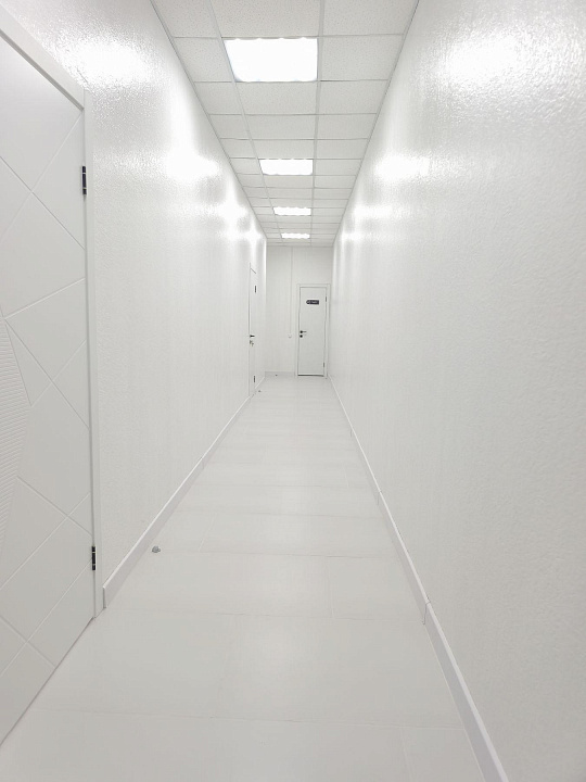 Торгово-офисное помещение 80 м2 фото