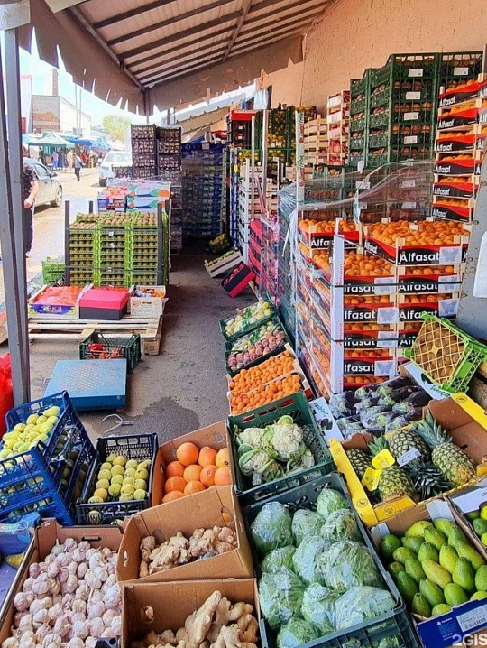 Продажа ГАБ овощебаза 13 га на ул.Олимпийской фото