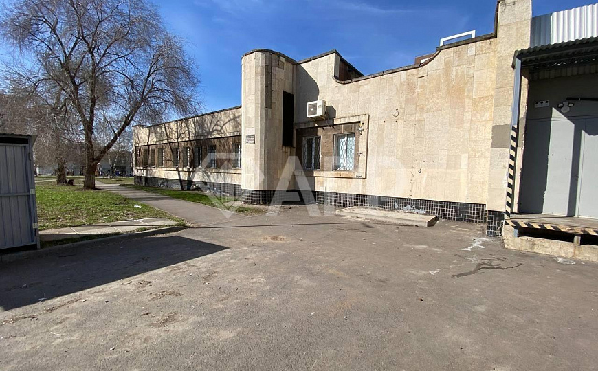 Помещение на первой линии Раиса Беляева фото
