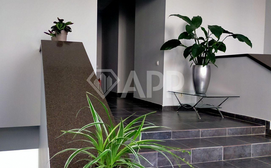 Сдаю 50м² в центре с м/т фото